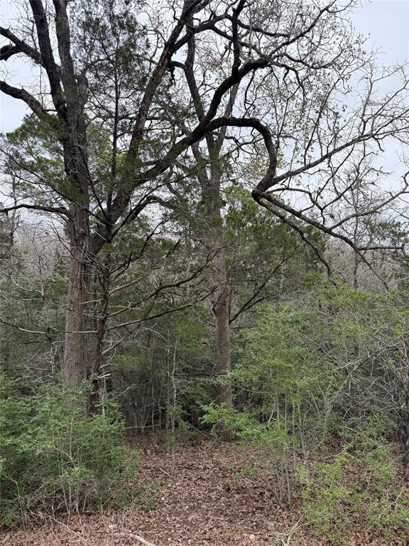 000 Wailupe Circle Bastrop TX 78602