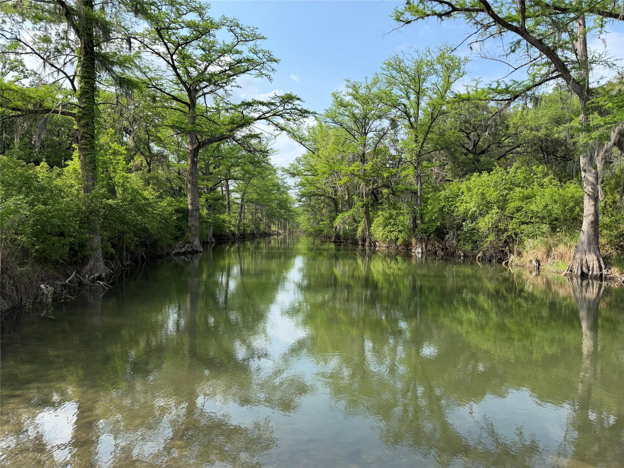 8219 Hammetts Crossing Dripping Springs TX 78663