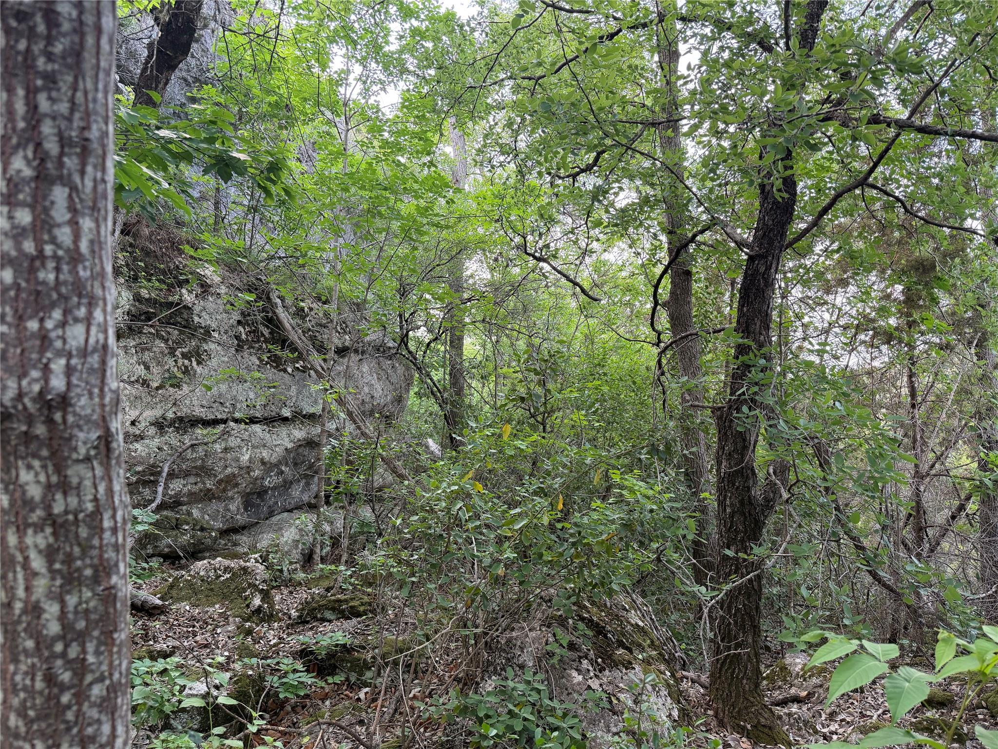 8219 Hammetts Crossing Dripping Springs TX 78663