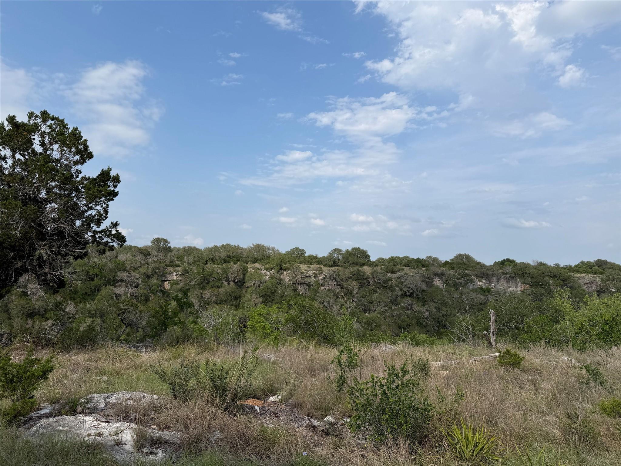 8219 Hammetts Crossing Dripping Springs TX 78663