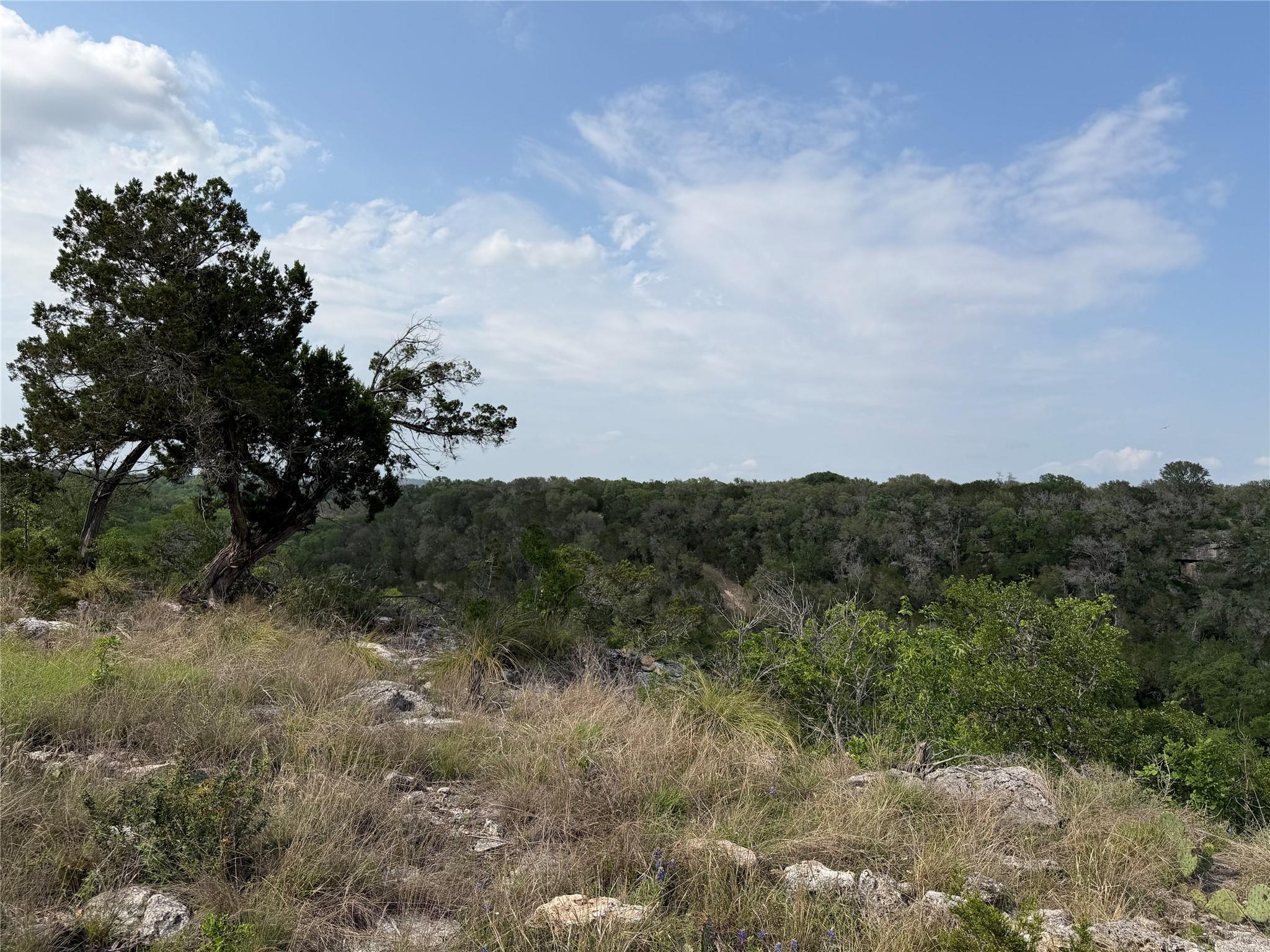8219 Hammetts Crossing Dripping Springs TX 78663