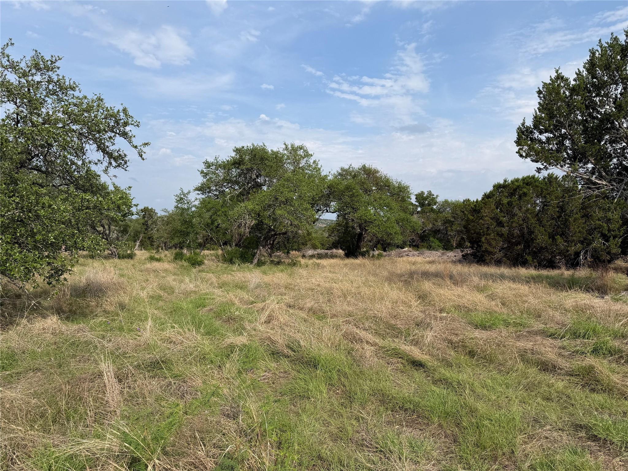 8219 Hammetts Crossing Dripping Springs TX 78663