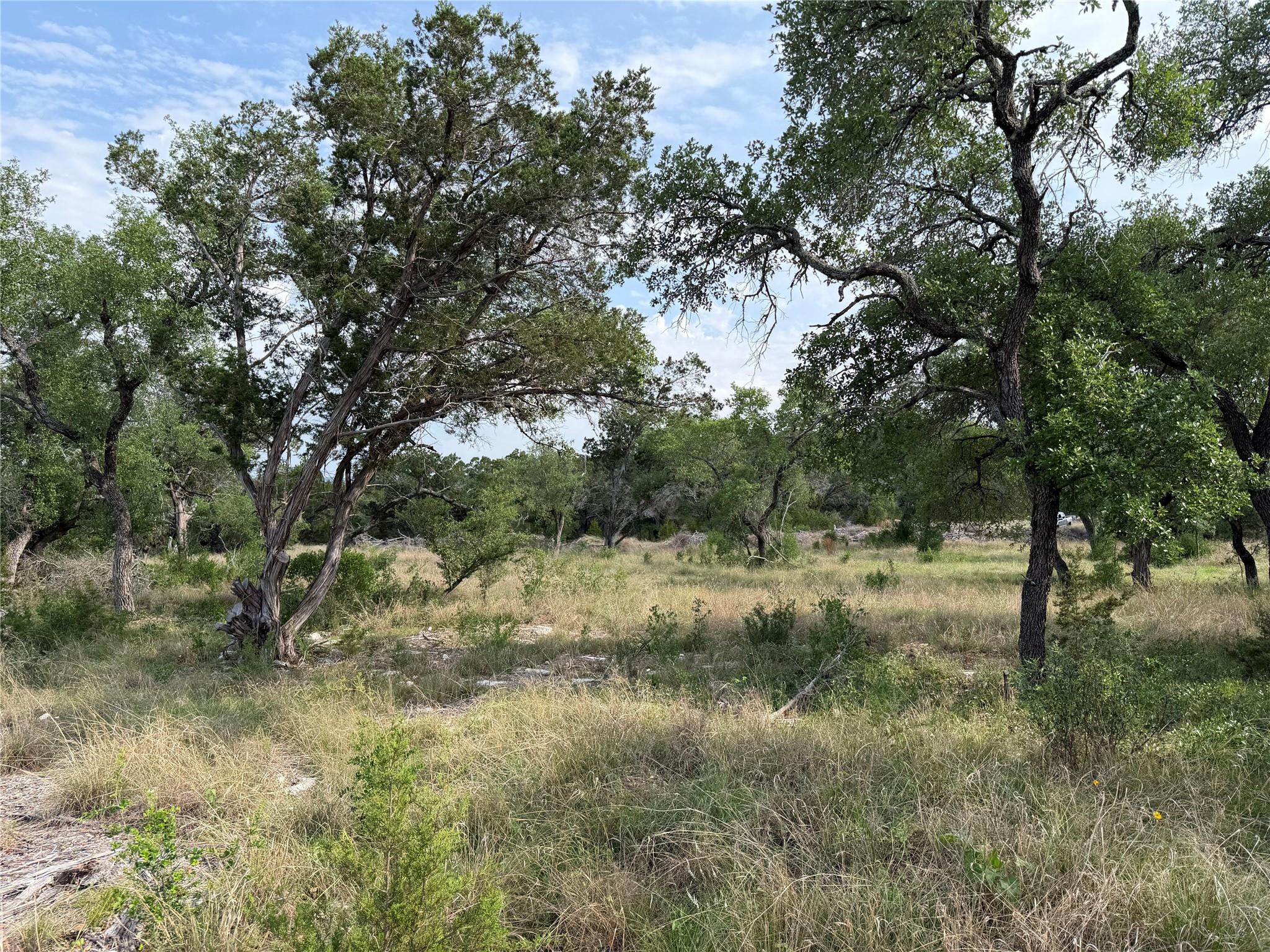 8219 Hammetts Crossing Dripping Springs TX 78663