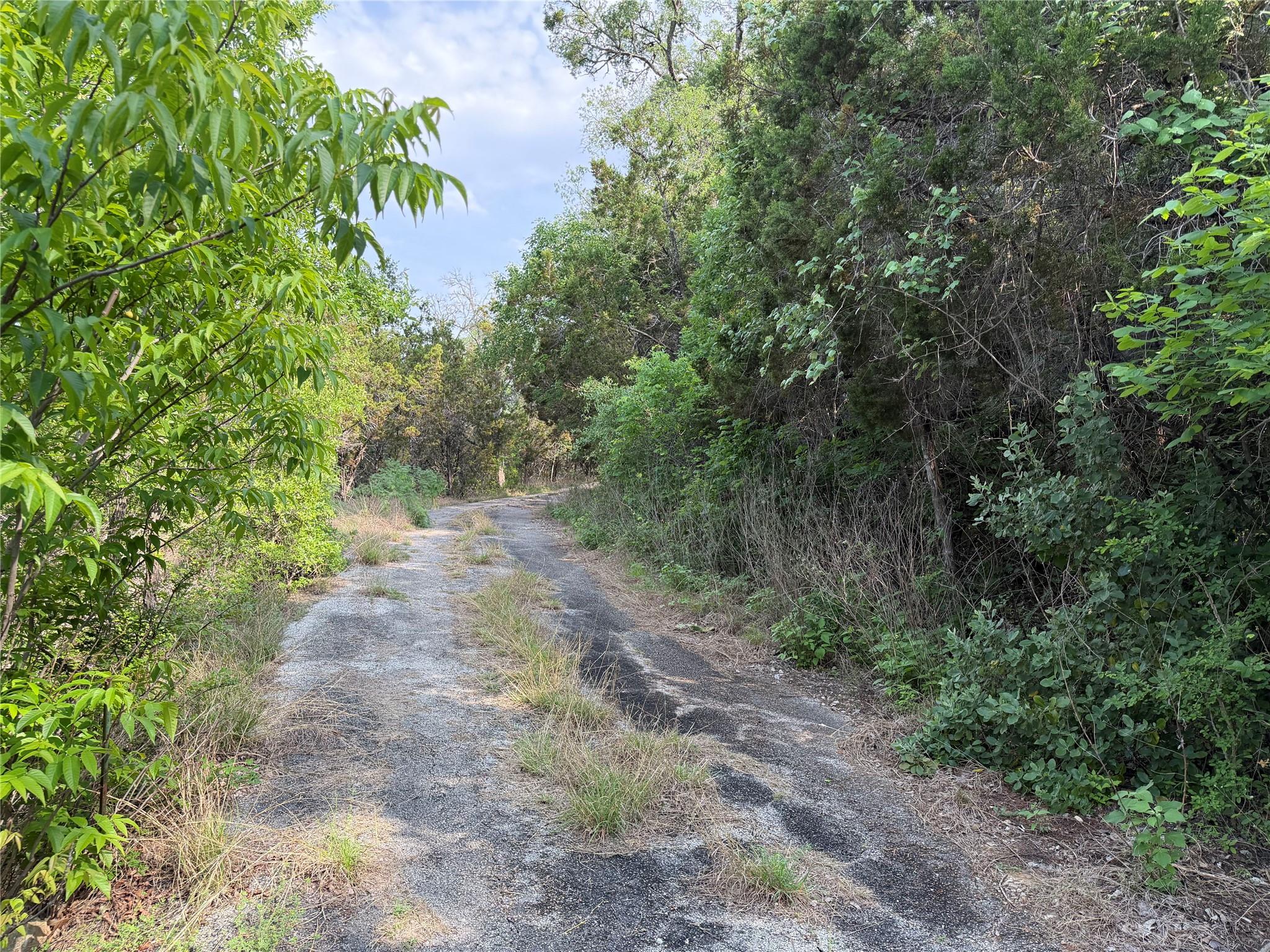 8219 Hammetts Crossing Dripping Springs TX 78663