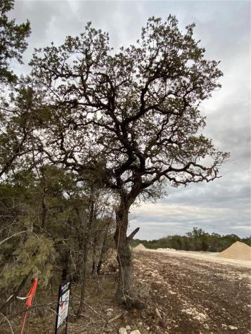 000 Pristine Trl/pkwy Canyon Lake TX 78133
