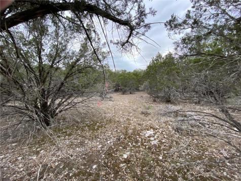 000 Pristine Trl/pkwy Canyon Lake TX 78133
