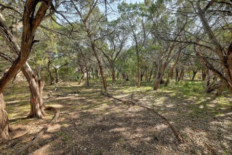 000 Ridgetop Terrace Austin TX 78732