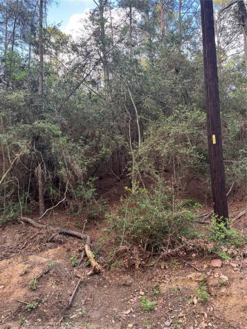 Lots 158 And 159 Hekili Drive Bastrop TX 78602