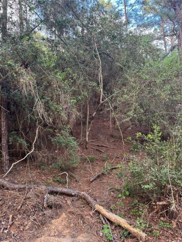 Lots 158 And 159 Hekili Drive Bastrop TX 78602