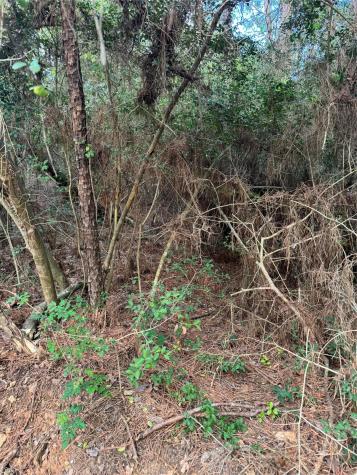 Lots 158 And 159 Hekili Drive Bastrop TX 78602