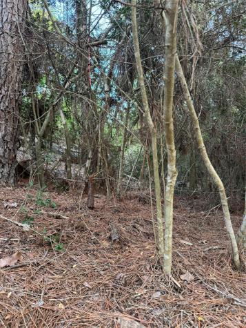 Lots 158 And 159 Hekili Drive Bastrop TX 78602