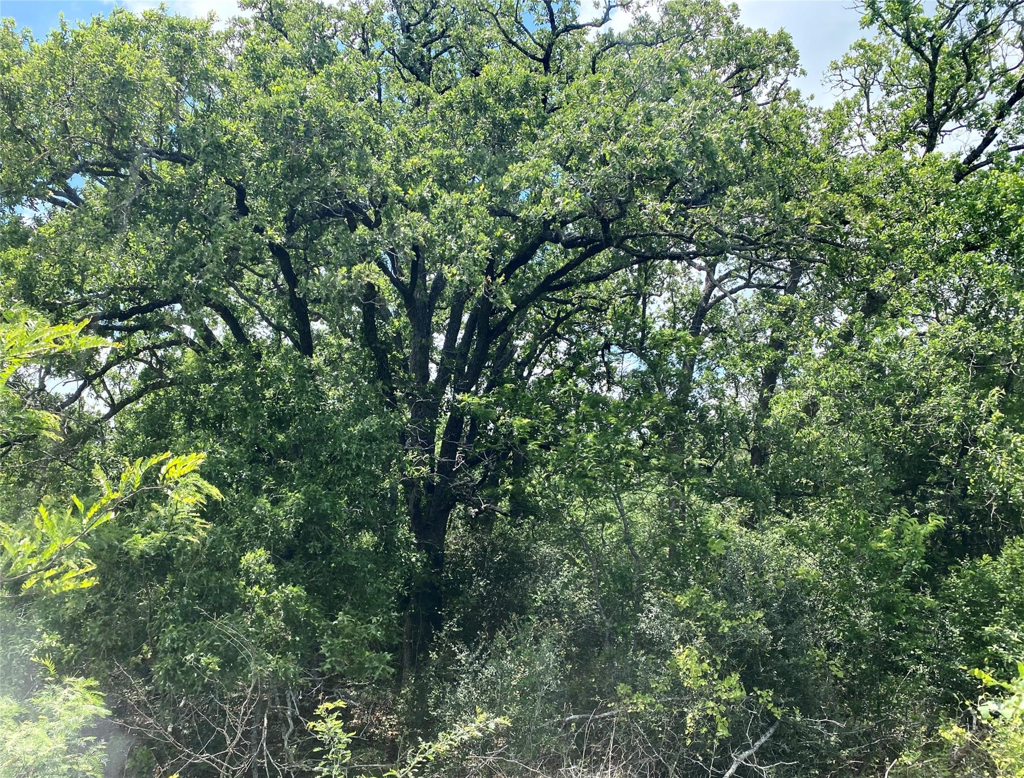 Tbd N Highway 77 Lincoln TX 78948