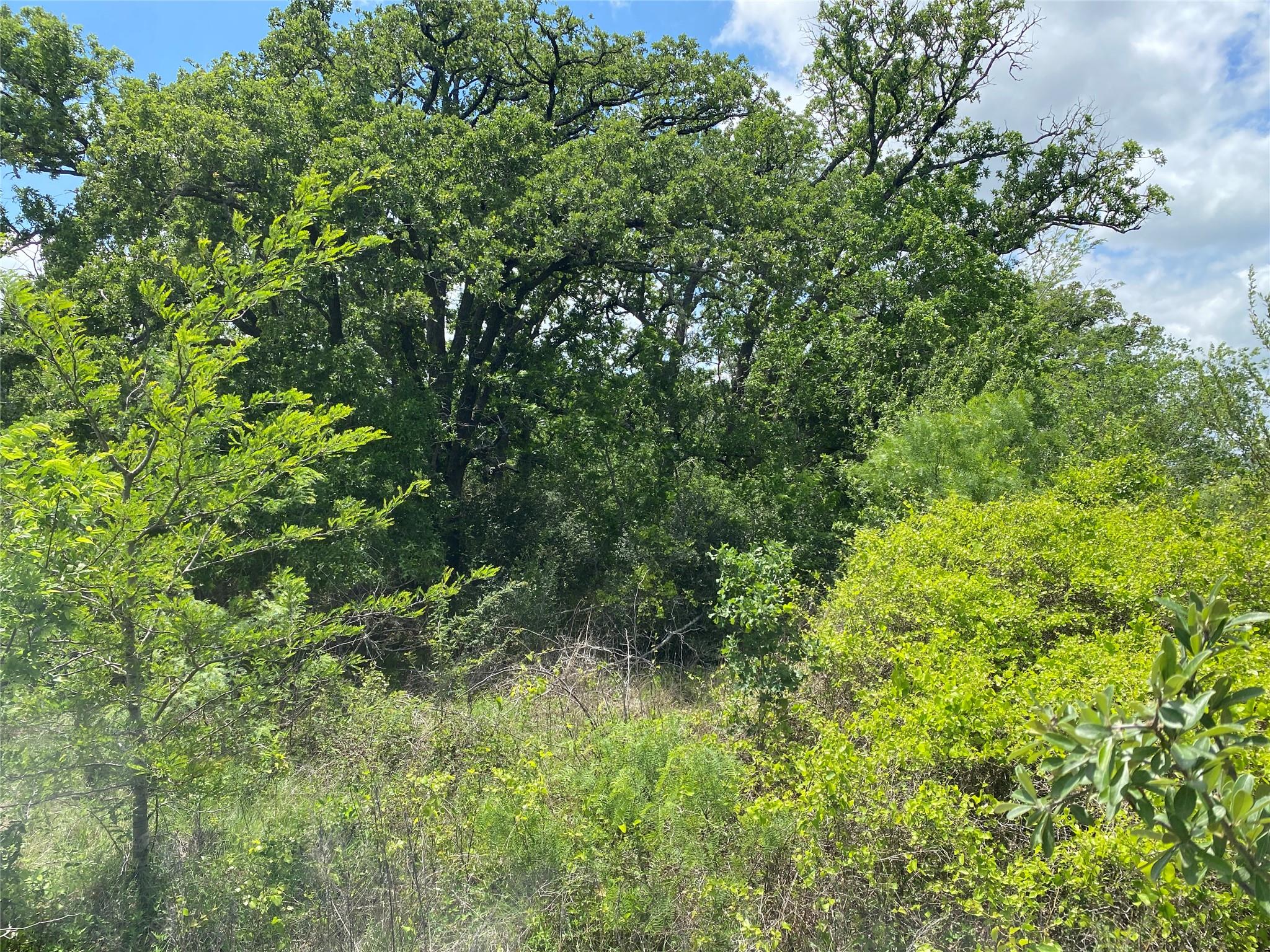 Tbd N Highway 77 Lincoln TX 78948