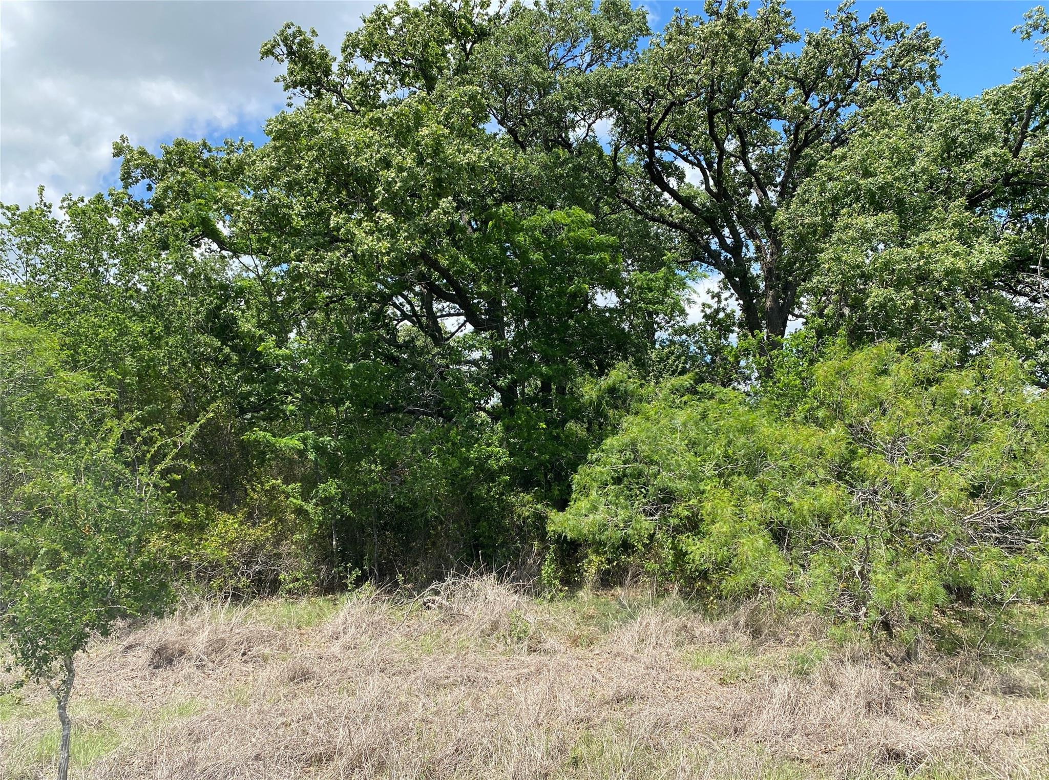 Tbd N Highway 77 Lincoln TX 78948
