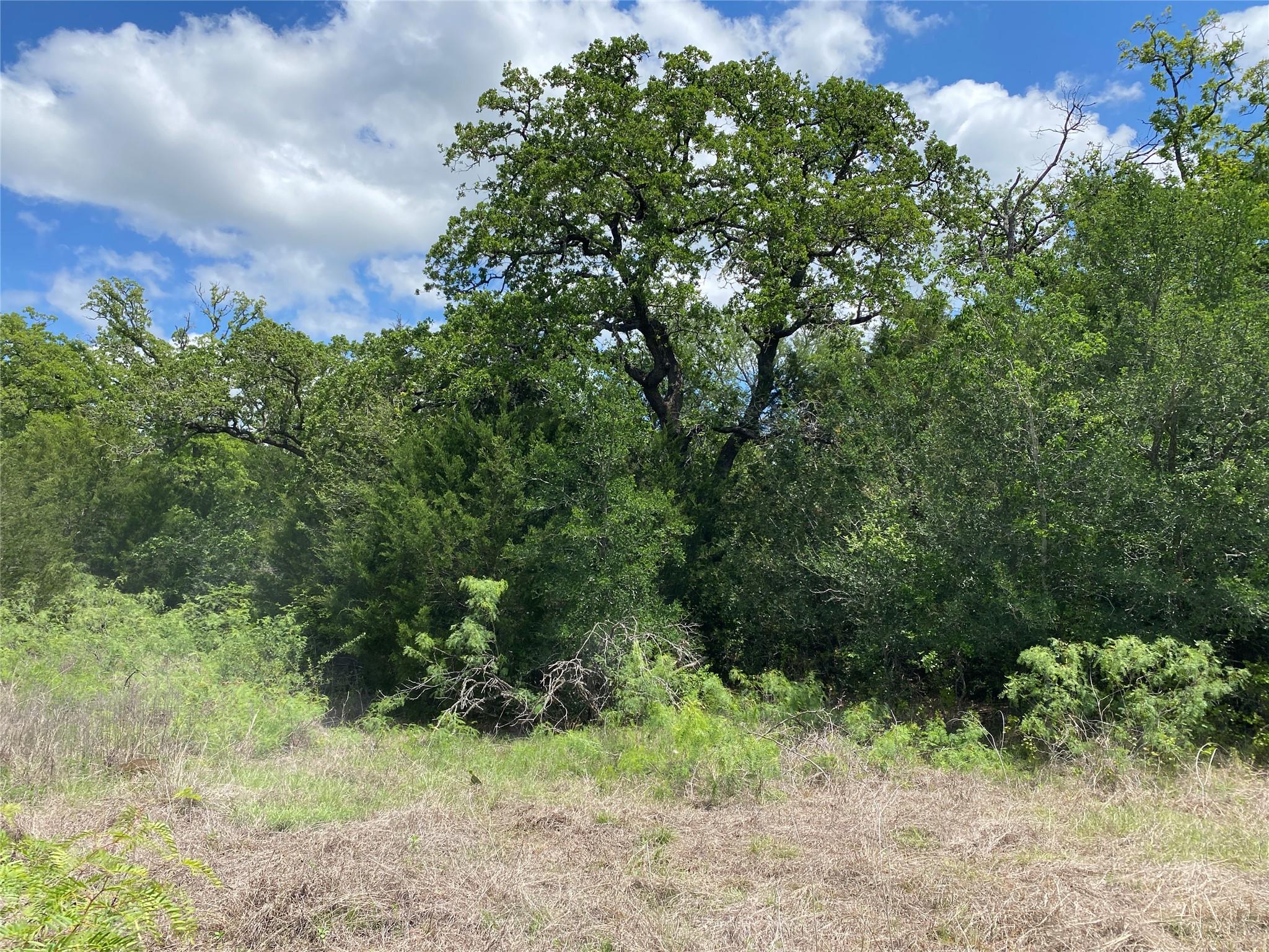 Tbd N Highway 77 Lincoln TX 78948