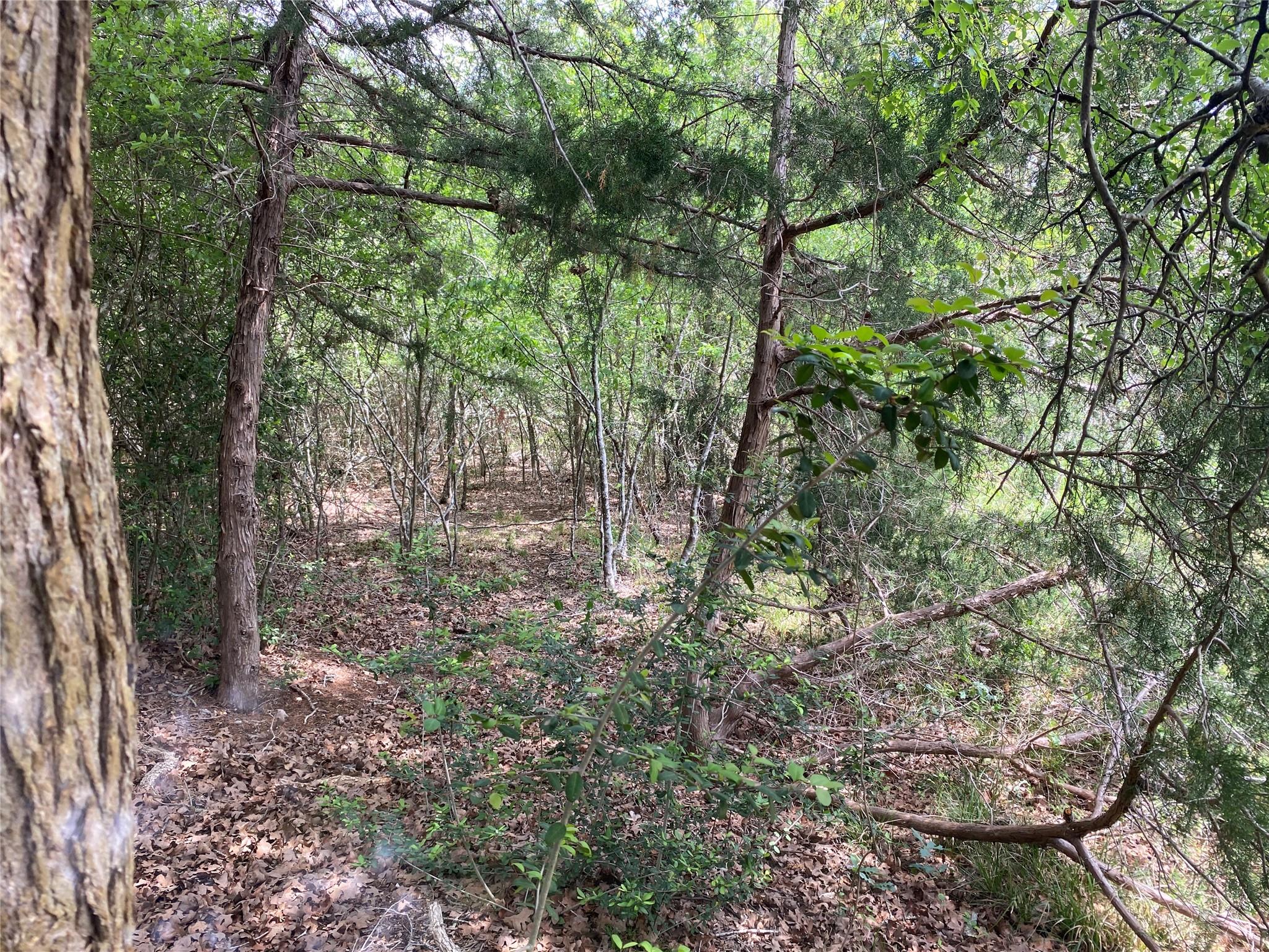 Tbd N Highway 77 Lincoln TX 78948
