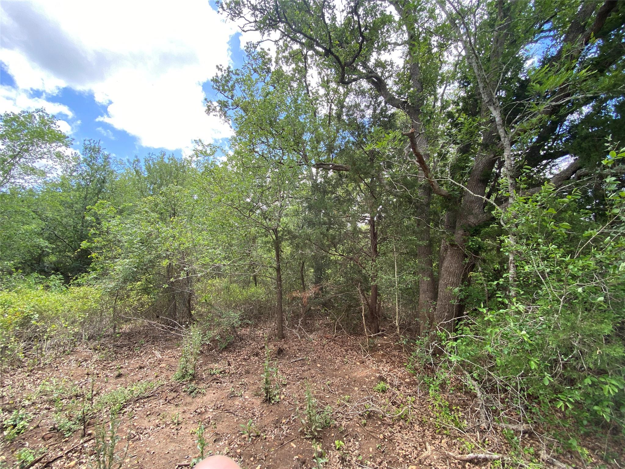 Tbd N Highway 77 Lincoln TX 78948