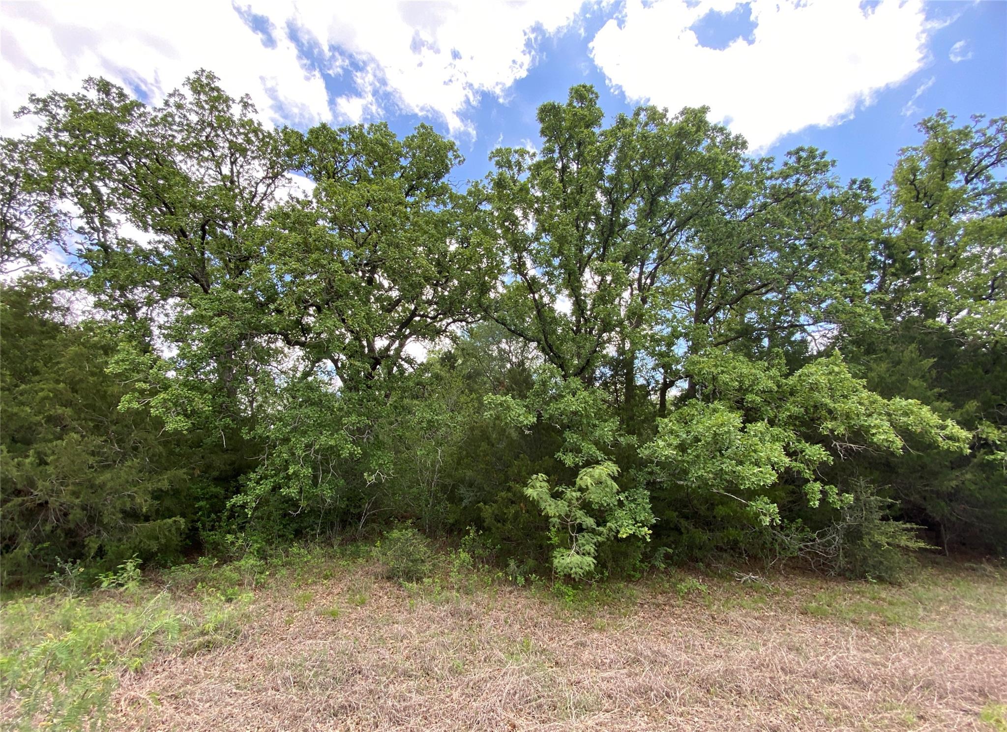 Tbd N Highway 77 Lincoln TX 78948