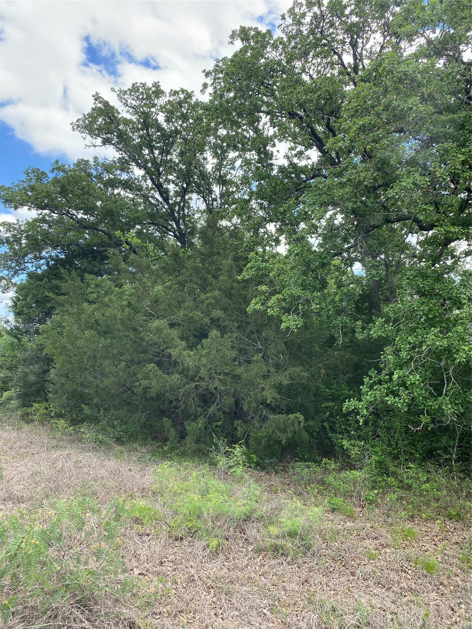 Tbd N Highway 77 Lincoln TX 78948