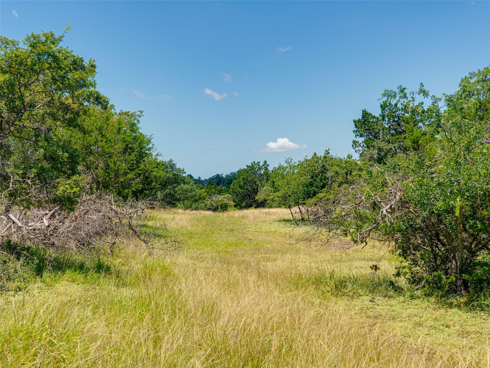19 N Cielo Vista Court Fredericksburg TX 78624