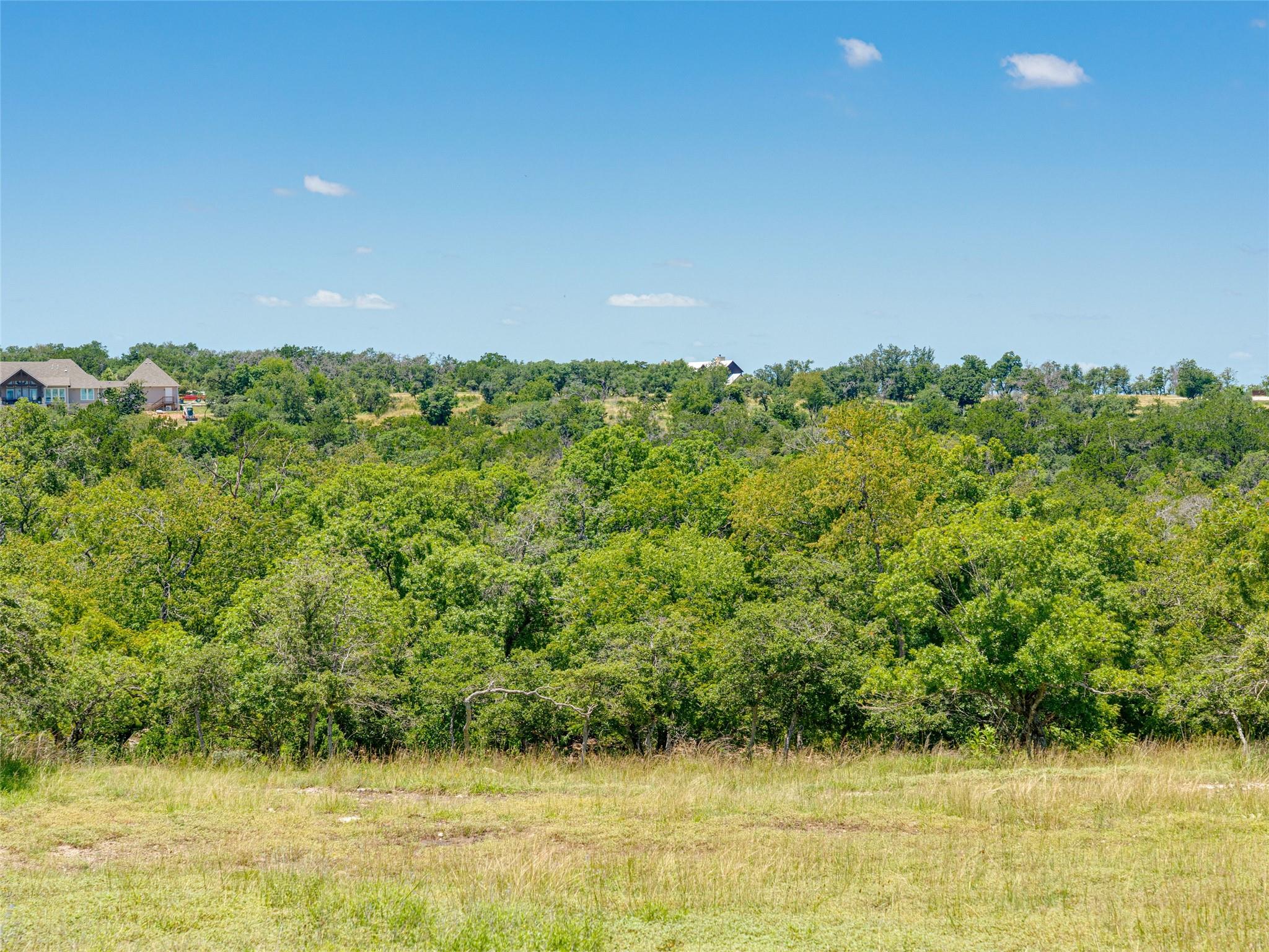 19 N Cielo Vista Court Fredericksburg TX 78624
