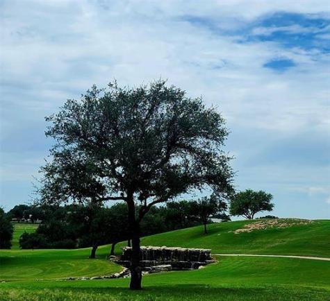 3317 Kahala Sunset Drive Spicewood TX 78669