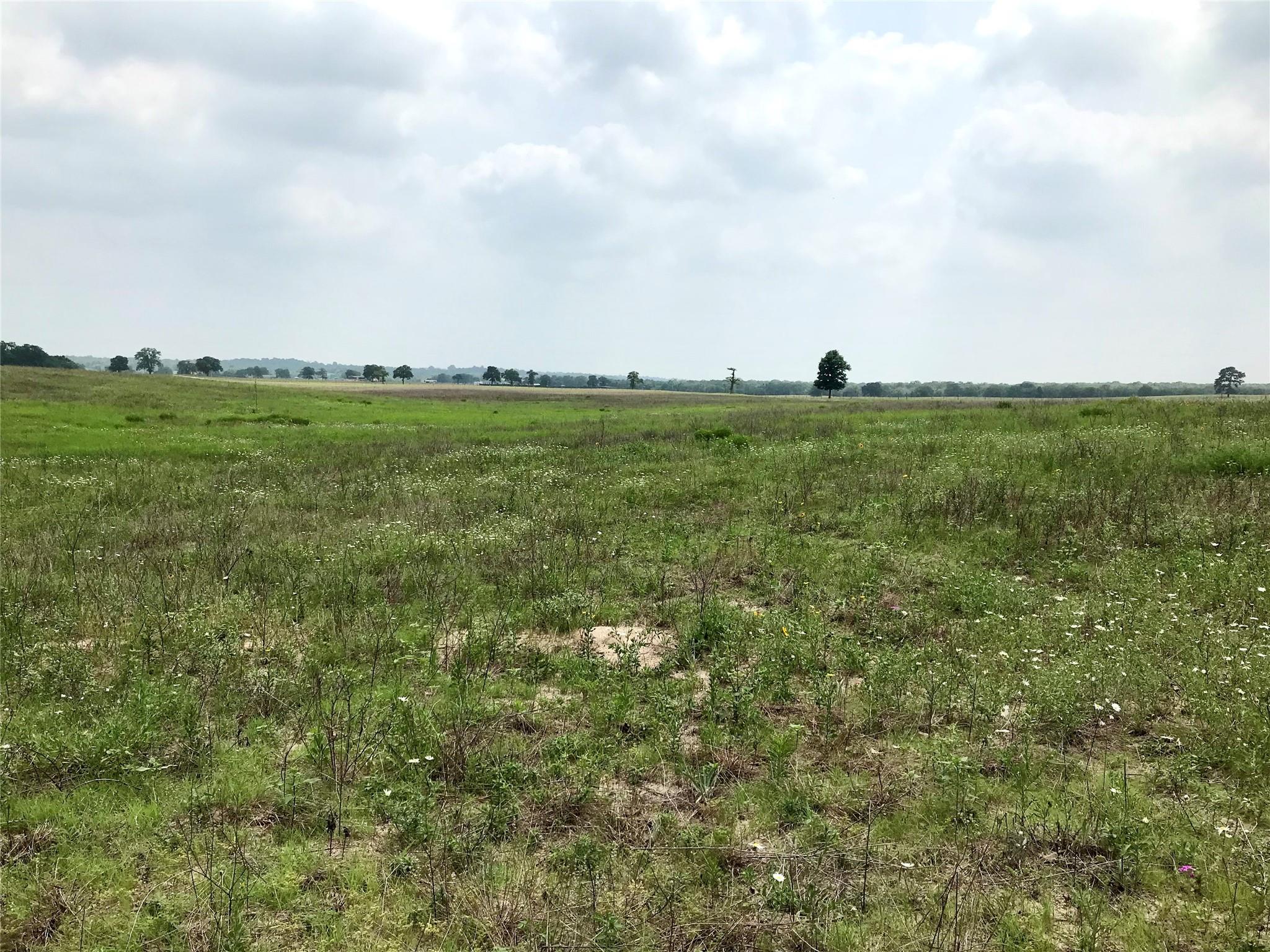 1672 Sayers Tract 4 Road Bastrop TX 78602