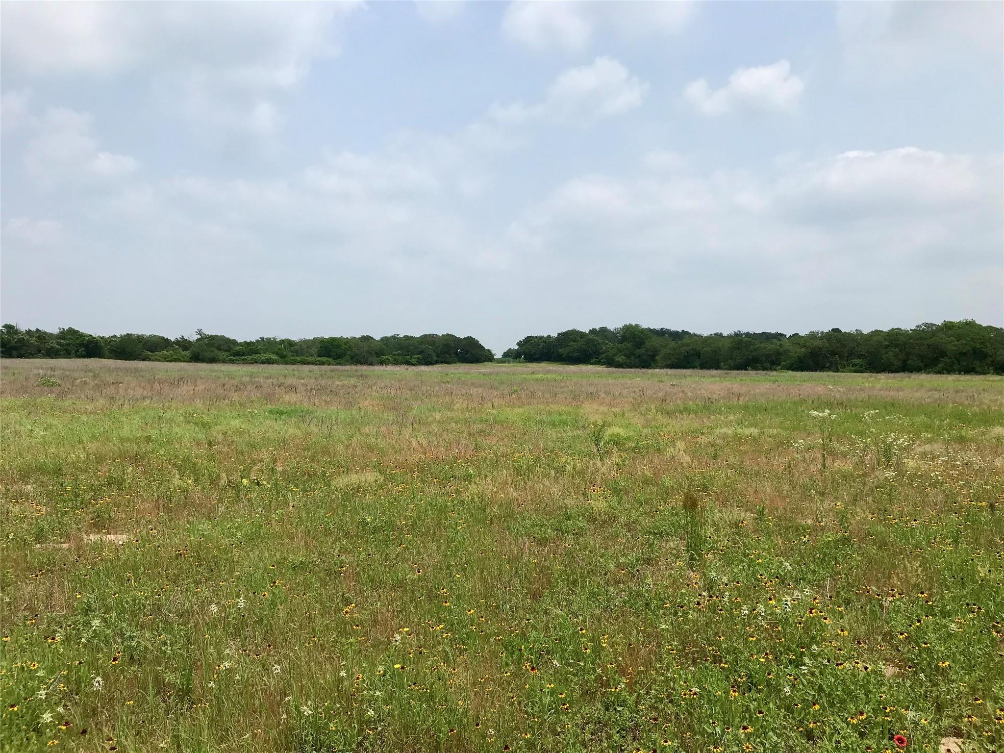 1672 Sayers Tract 4 Road Bastrop TX 78602