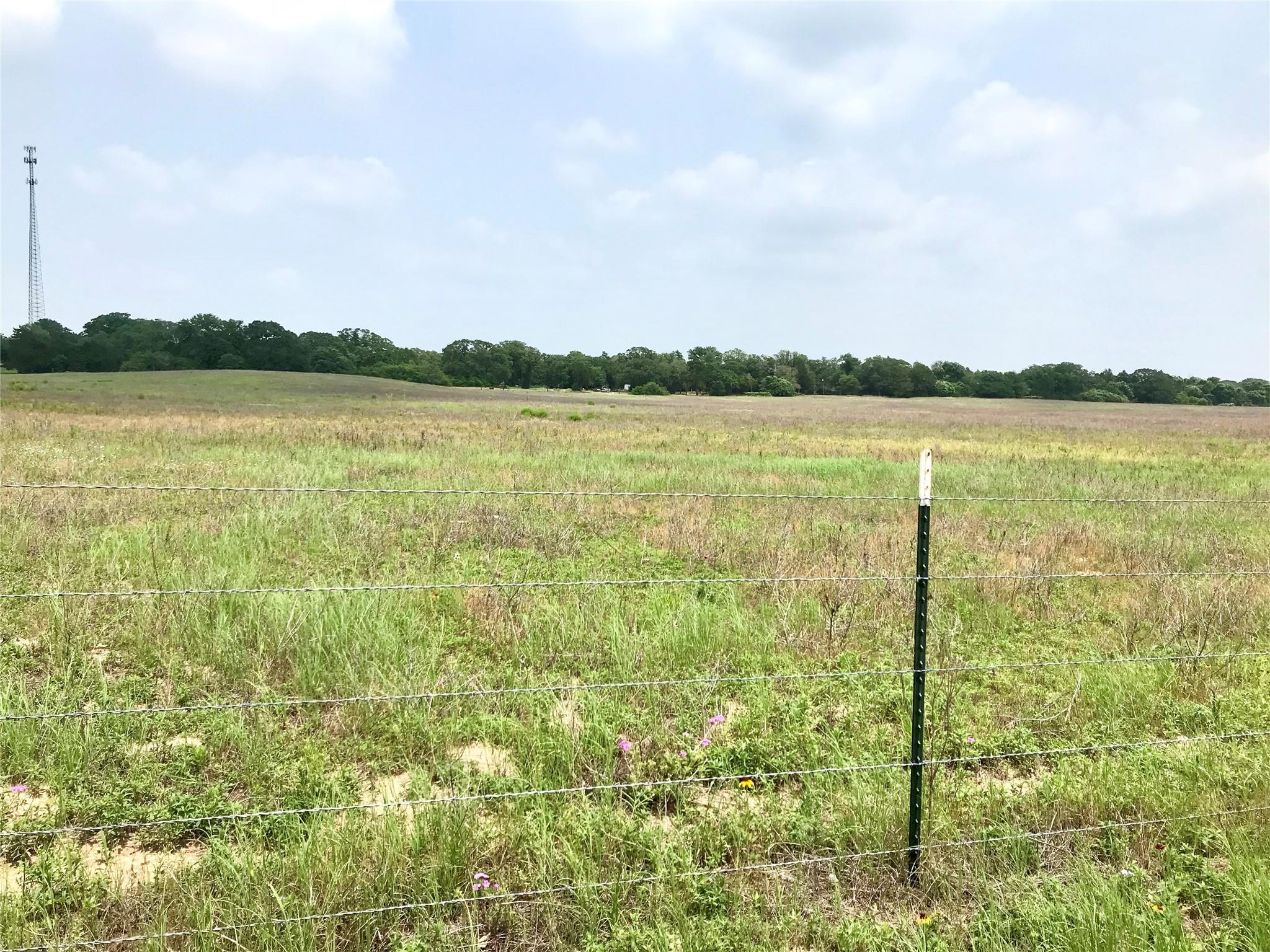 1672 Sayers Tract 4 Road Bastrop TX 78602