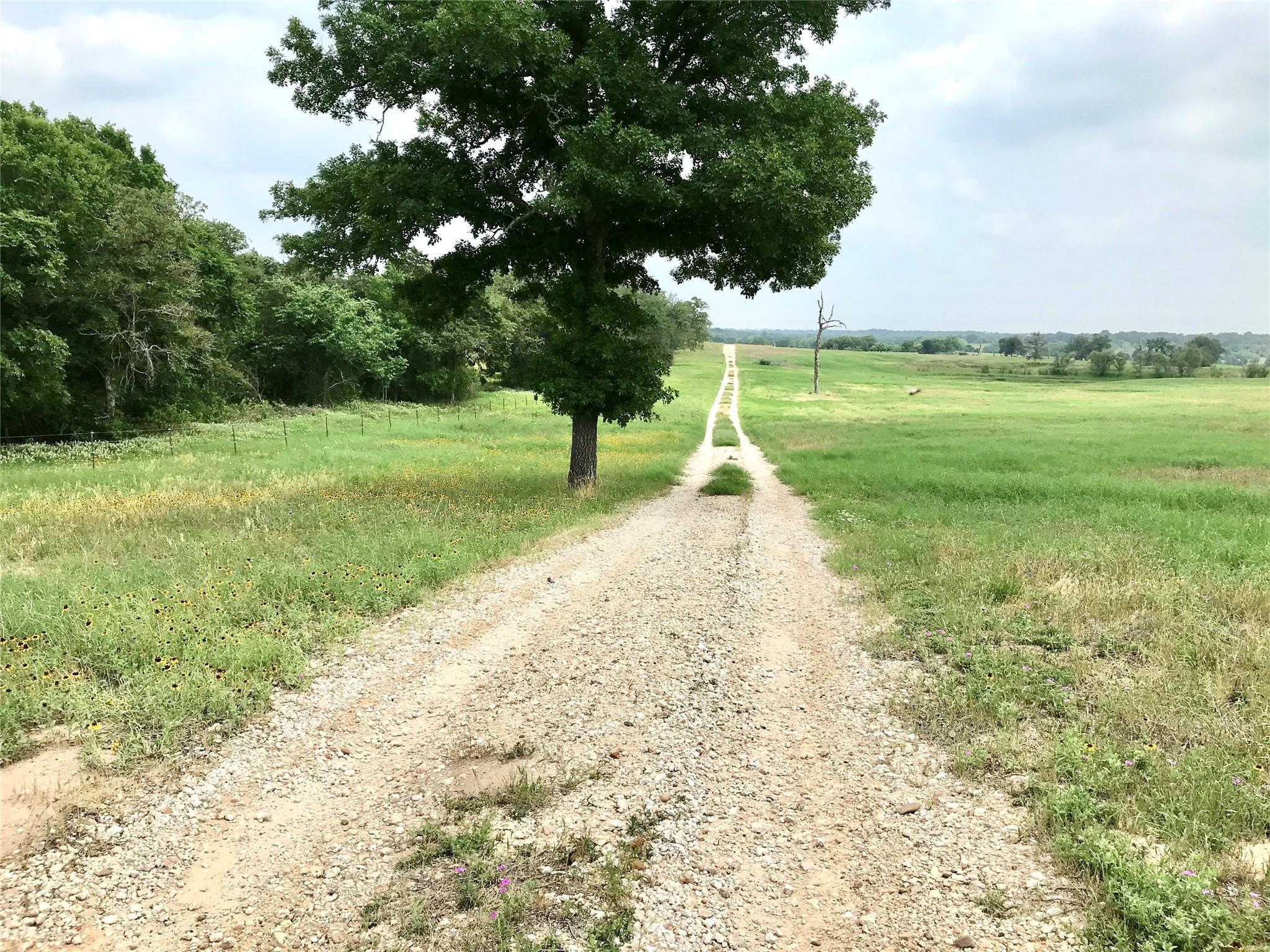 1672 Sayers Tract 4 Road Bastrop TX 78602