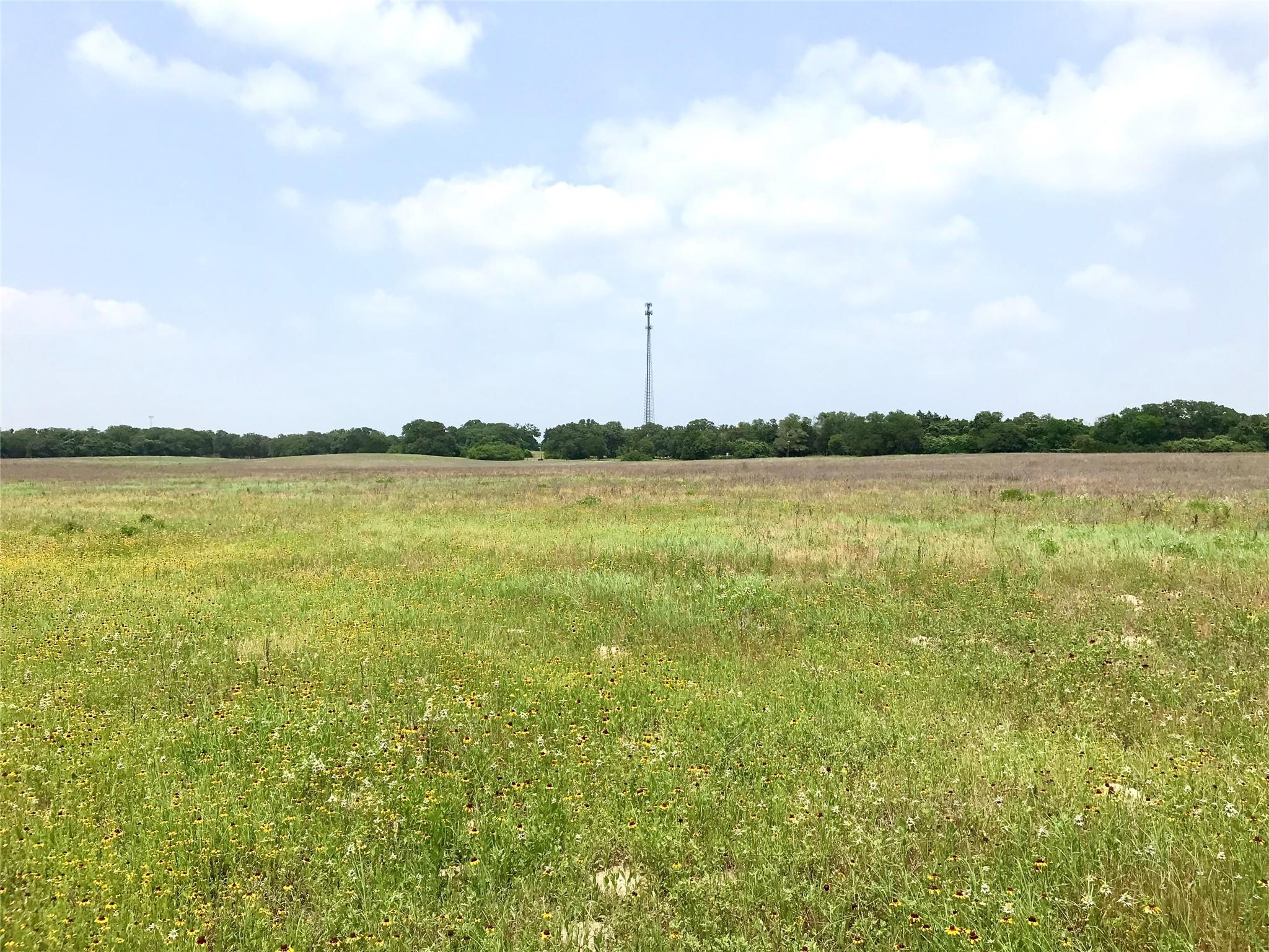 1672 Sayers Tract 4 Road Bastrop TX 78602