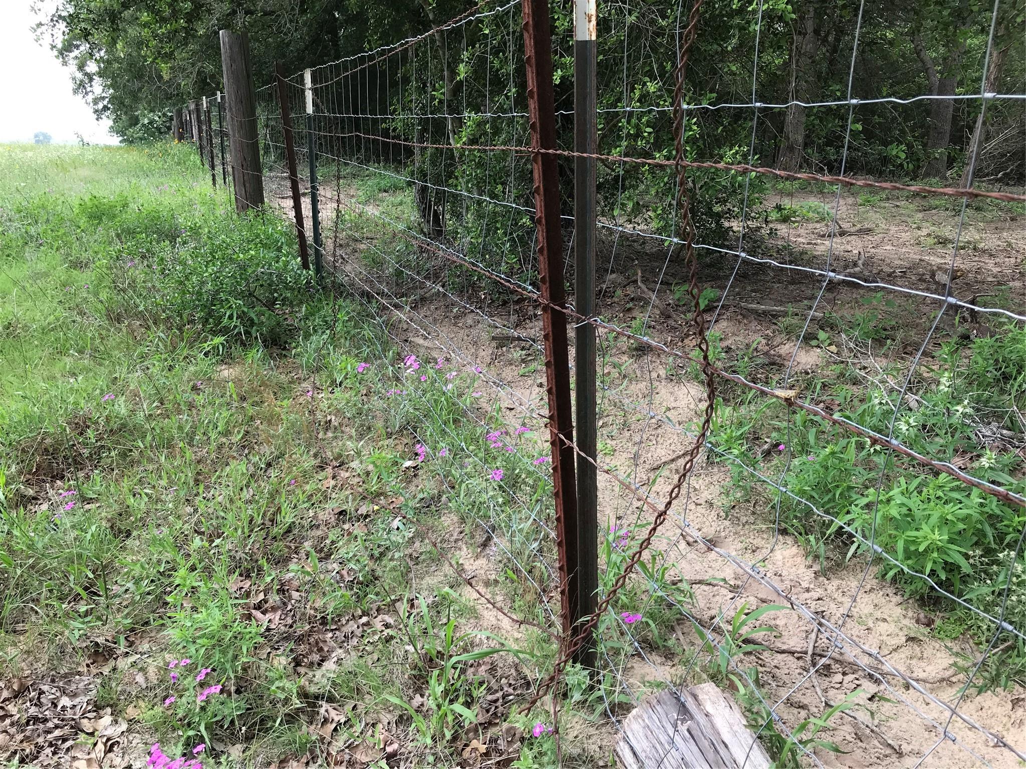 1672 Sayers Tract 4 Road Bastrop TX 78602