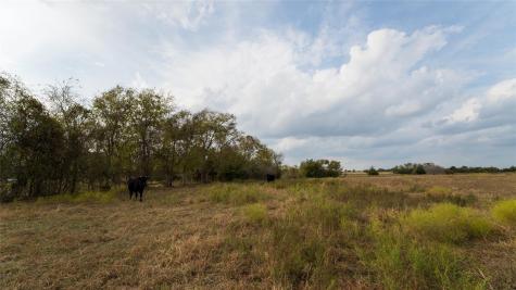 4646 Fm 2679 Road Burton TX 77835