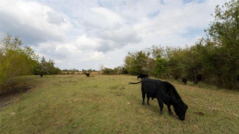 4646 Fm 2679 Road Burton TX 77835