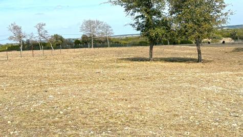 Tbd Whitetail Ridge Drive Kempner TX 76539