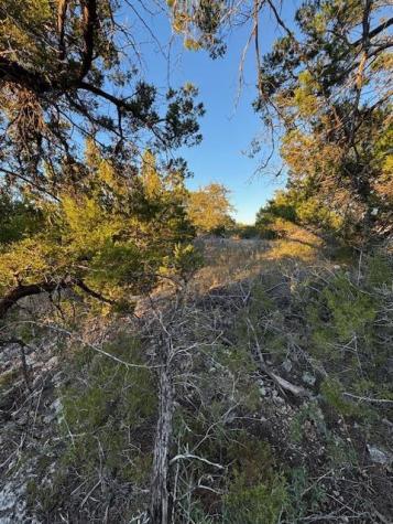 6802 Cedar Ridge Circle Lago Vista TX 78645