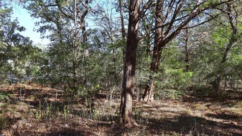 Tbd Choctaw Trail Smithville TX 78957