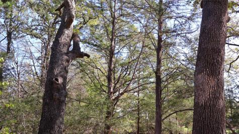 Tbd Choctaw Trail Smithville TX 78957