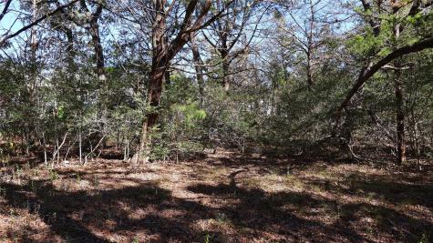 Tbd Choctaw Trail Smithville TX 78957