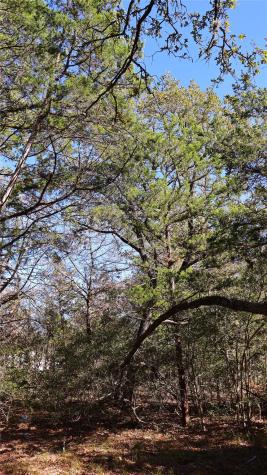 Tbd Choctaw Trail Smithville TX 78957