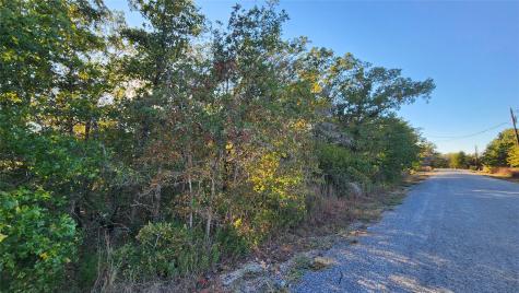 Tbd Choctaw Trail Smithville TX 78957