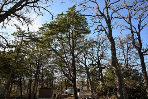 Tbd Choctaw Trail Smithville TX 78957