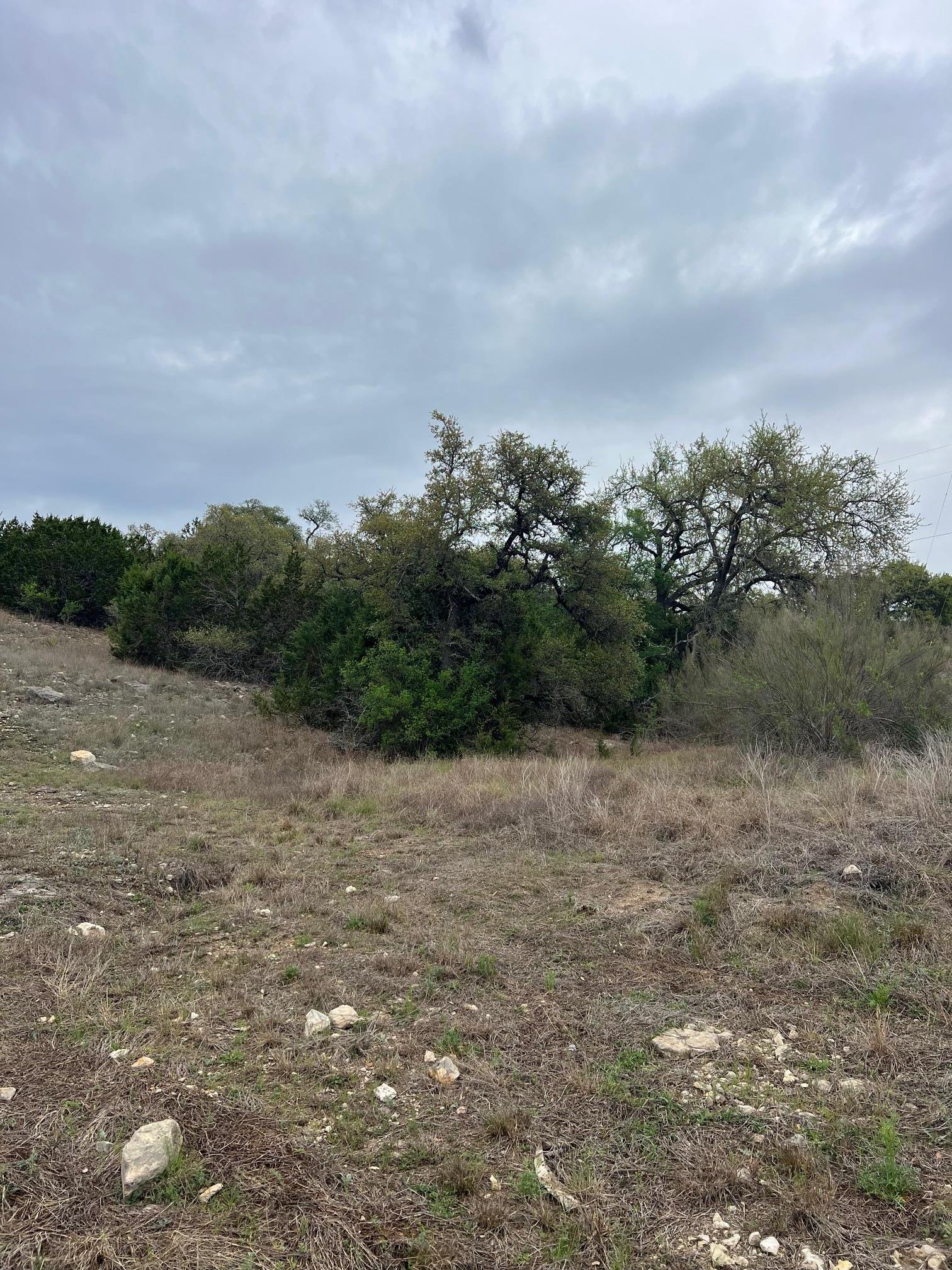 1022 Broken Spoke Canyon Lake TX 78133