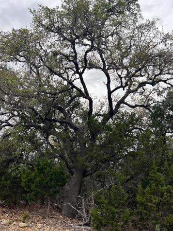 1022 Broken Spoke Canyon Lake TX 78133