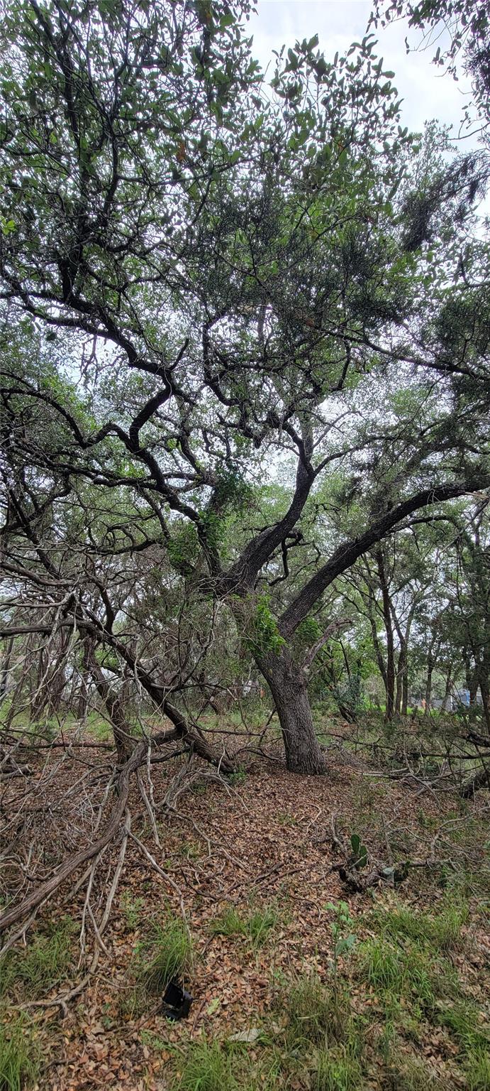 1391 Covered Wagon Spring Branch TX 78070