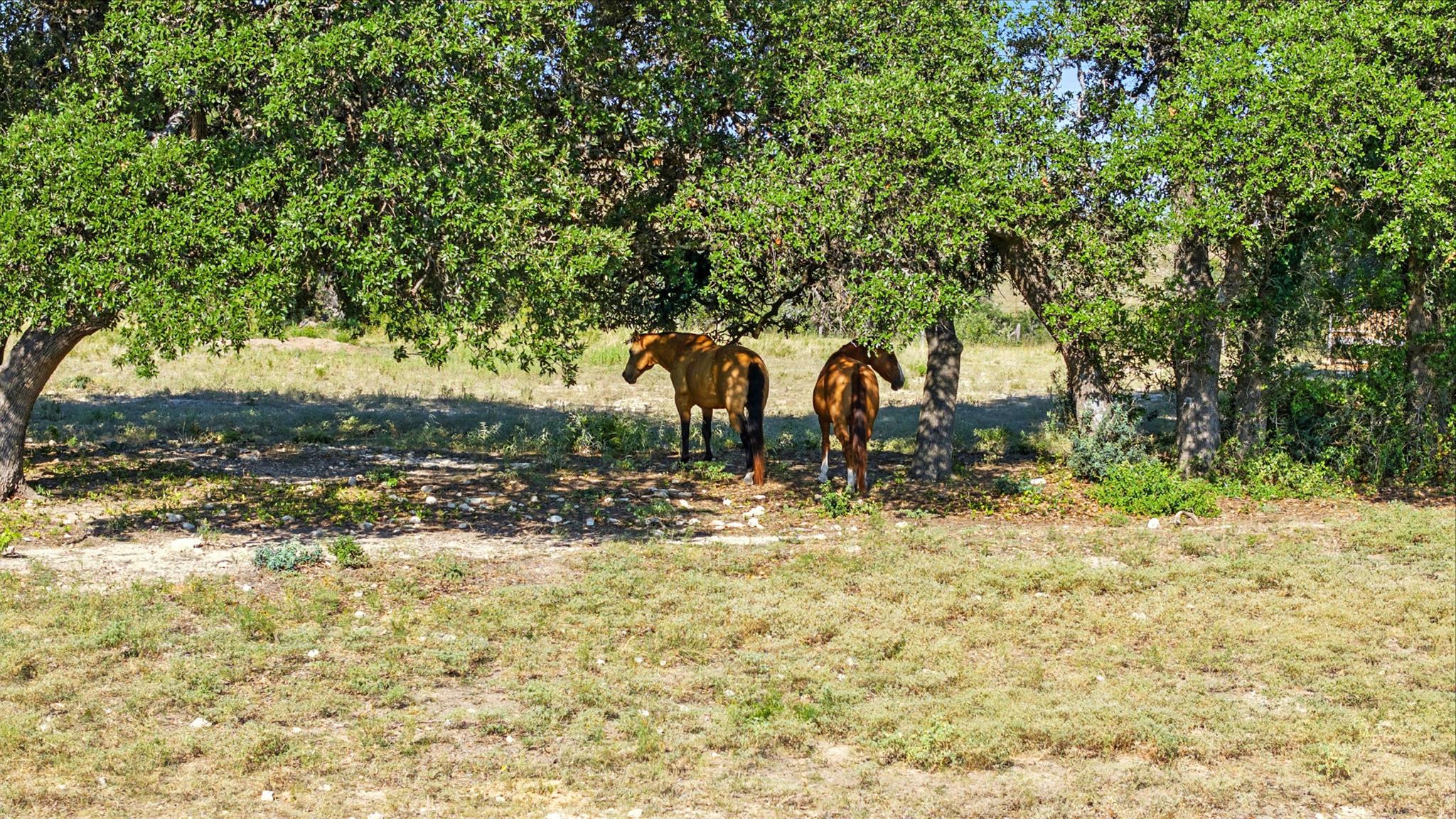 753 W Sunset Drive Johnson City TX 78636