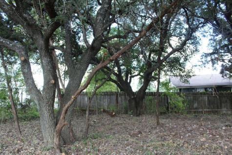 11502 Bee Street Jonestown TX 78645