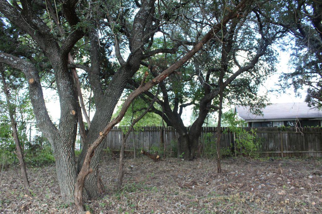 11502 Bee Street Jonestown TX 78645