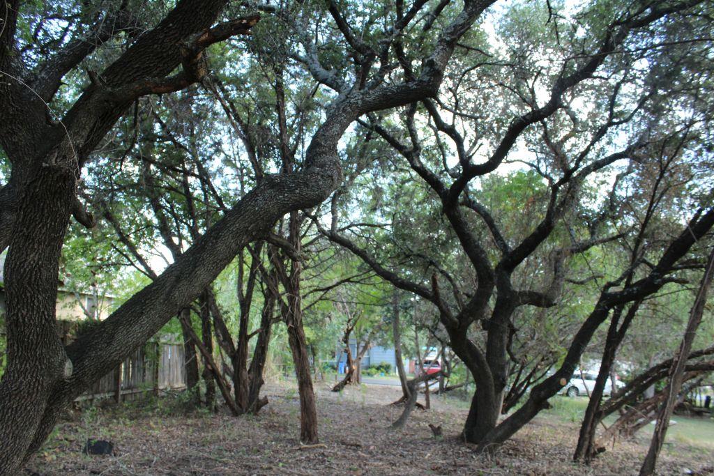 11502 Bee Street Jonestown TX 78645