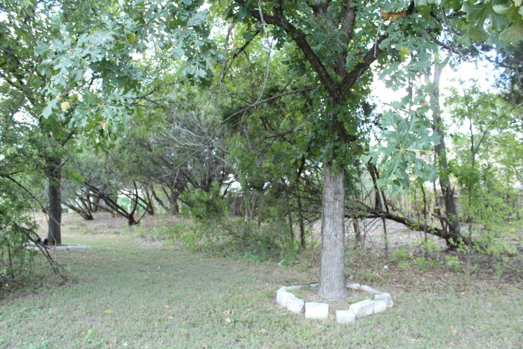 11502 Bee Street Jonestown TX 78645